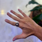 Phoenix Rings